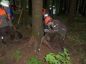 Maibaum_2018 (13)